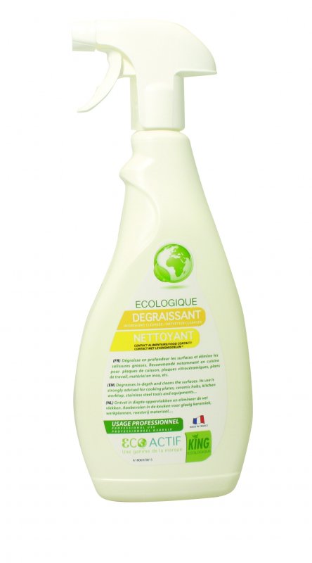  Ecolabel - Detergent si degresant ecologic - King